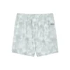 Comfort Sport Performance Shorts „Grau“