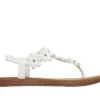Summer Cove – Beach Bloom Summer Cove – Beach Bloom