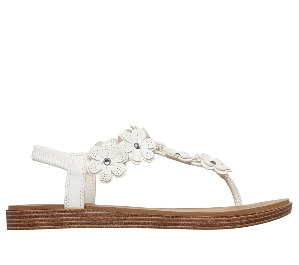Summer Cove – Beach Bloom Summer Cove – Beach Bloom