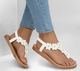 Summer Cove – Beach Bloom