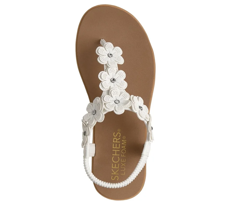 Summer Cove – Beach Bloom Summer Cove – Beach Bloom