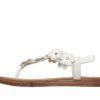 Summer Cove – Beach Bloom Summer Cove – Beach Bloom