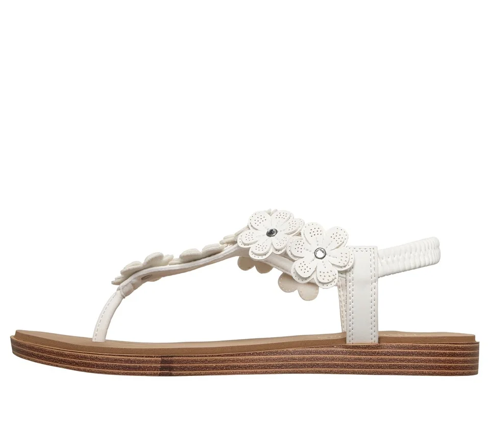 Summer Cove – Beach Bloom Summer Cove – Beach Bloom